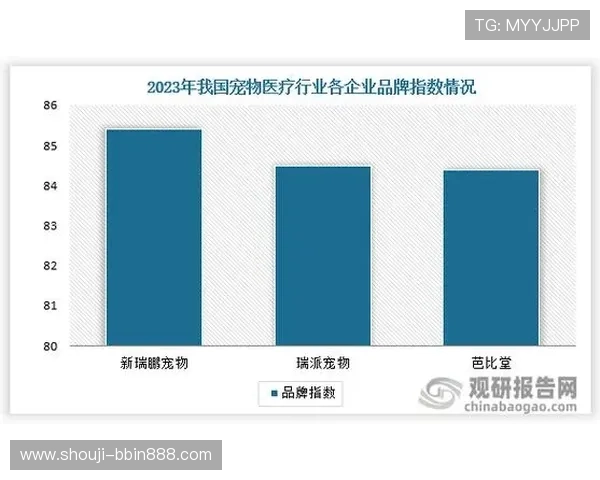 沙巴真人娱乐的未来发展趋势，行业专家深度分析与预测