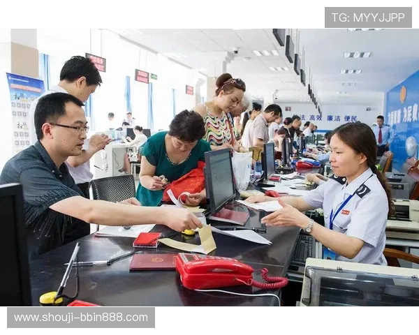 hub电子税务局全面介绍与使用指南帮助企业高效办理税务事项
